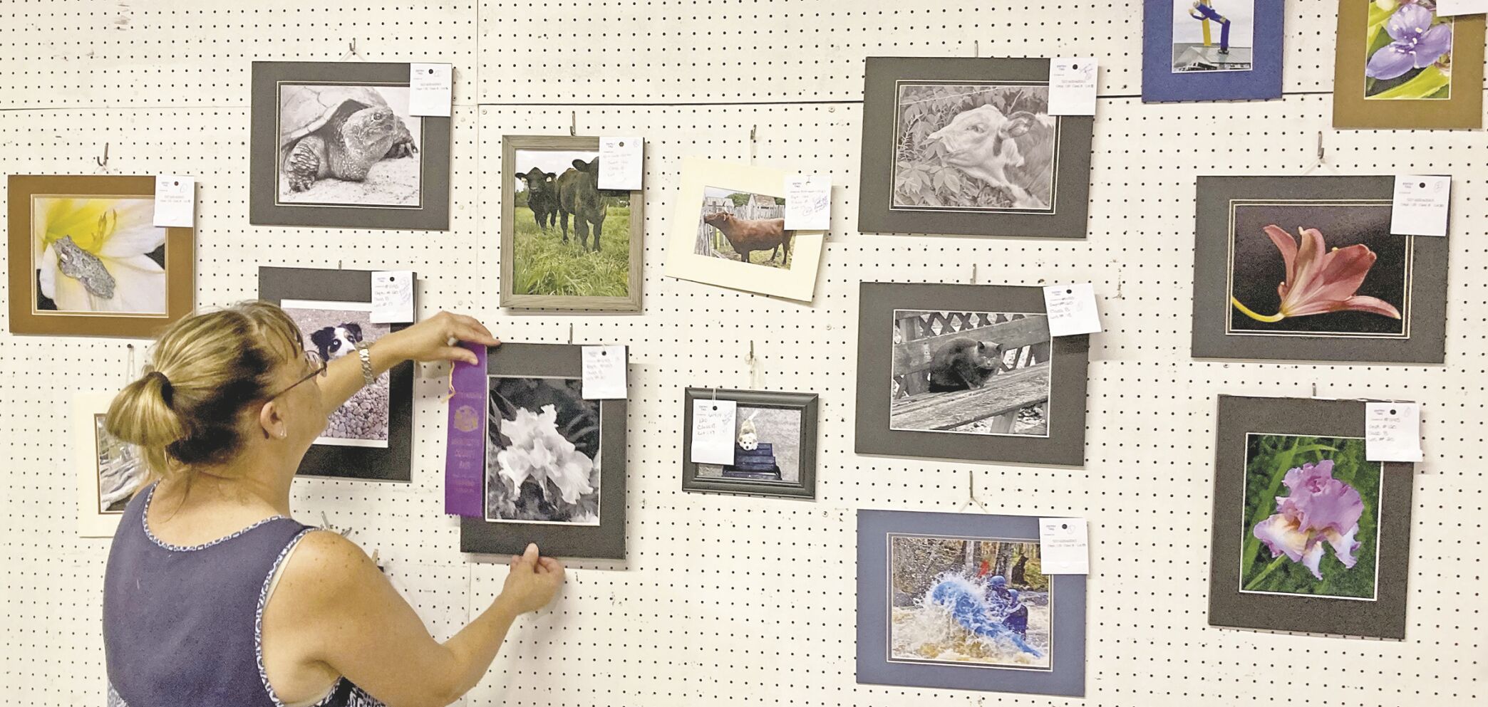 Marinette County Fair photography